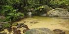 Wurrmbu Creek - Mossman Gorge - QLD T (PBH4 00 17005)